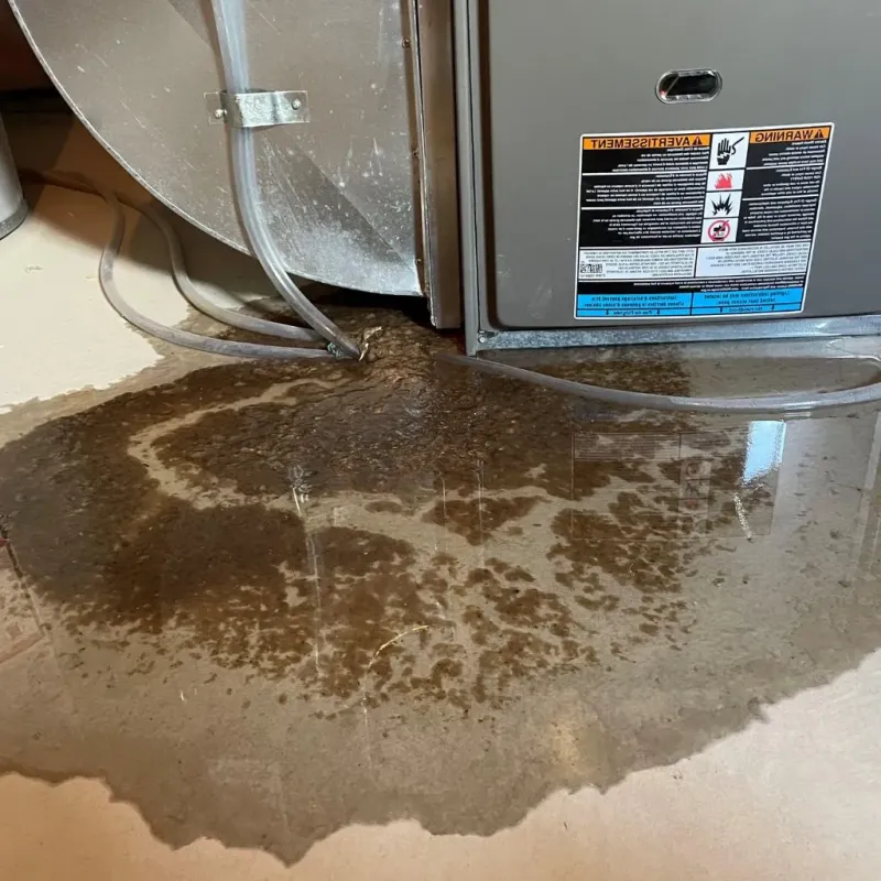 Pipe Burst and Leak Restoration in Roy, UT
